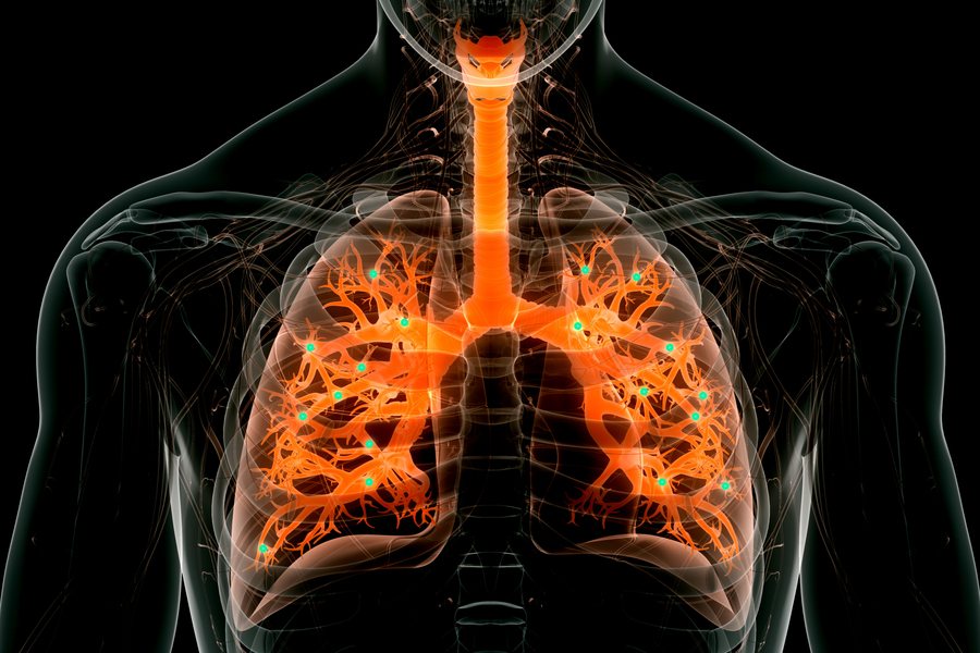 Researchers breathe new life into lung repair